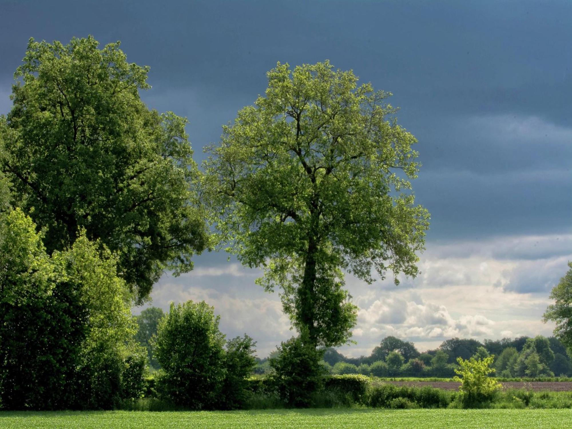 Quaint Farmhouse In Geesteren With Meadow View Luaran gambar