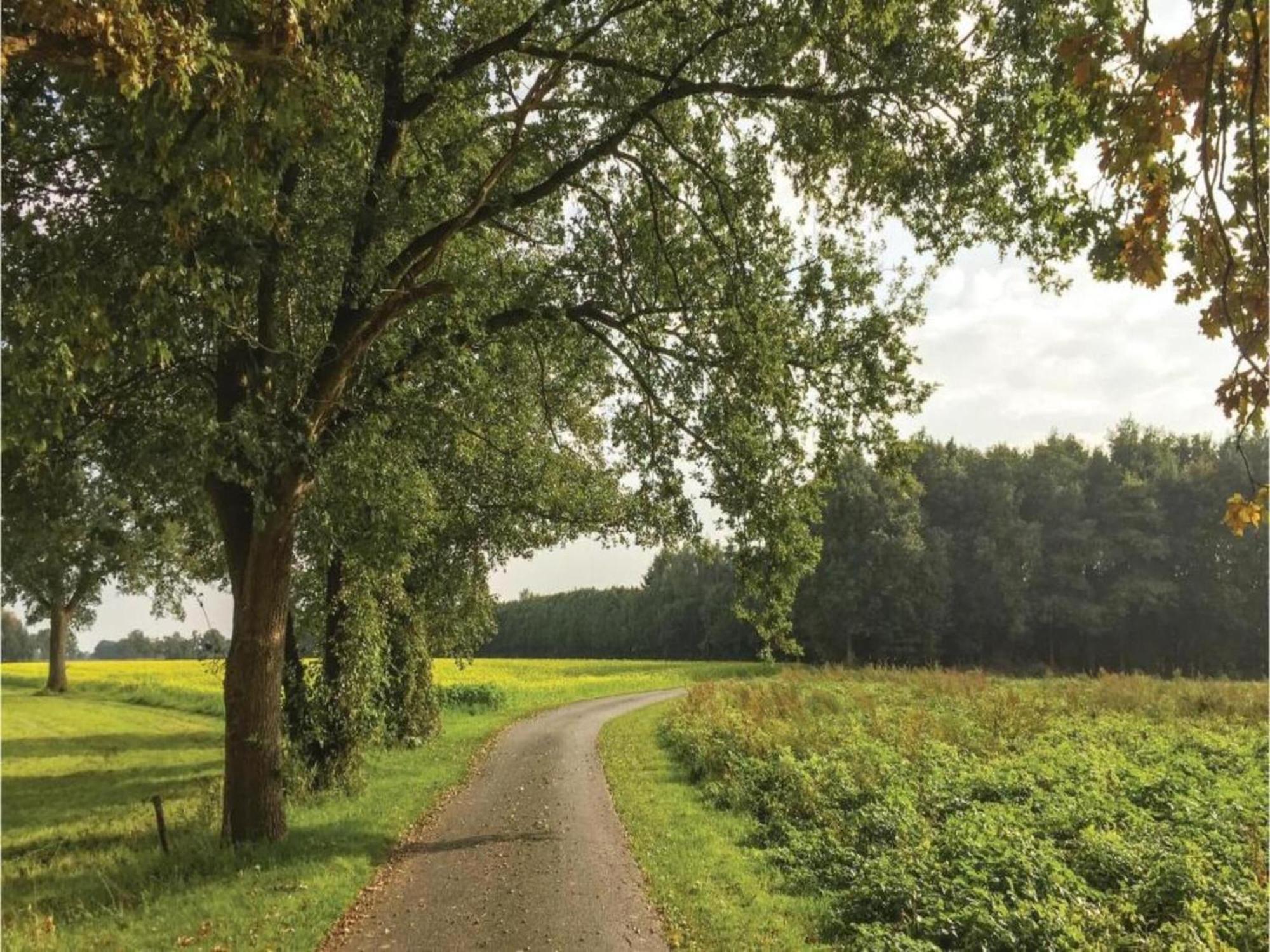Quaint Farmhouse In Geesteren With Meadow View Luaran gambar